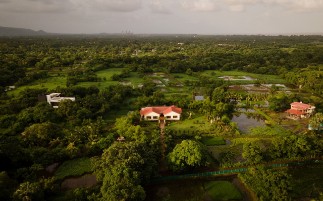 Nine Palms Alibag