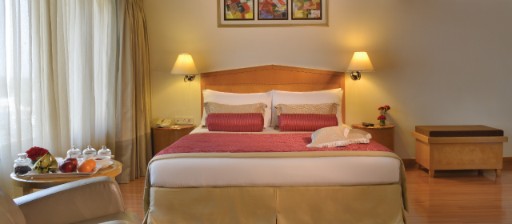 Deluxe Suite with City View in Vadodara at Vivanta Vadodara