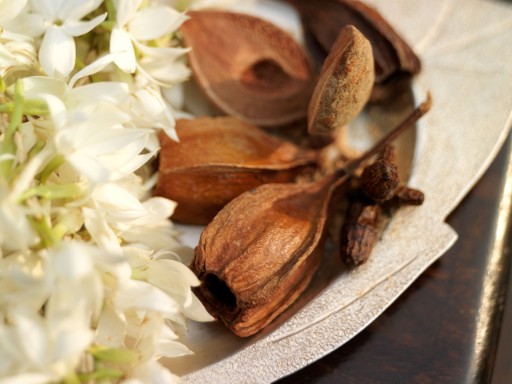 Jiva Spa at Taj Hotels Taj Hotels - Jiva Spa