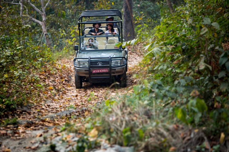  Safari Drives at Chitwan National Park 3x2