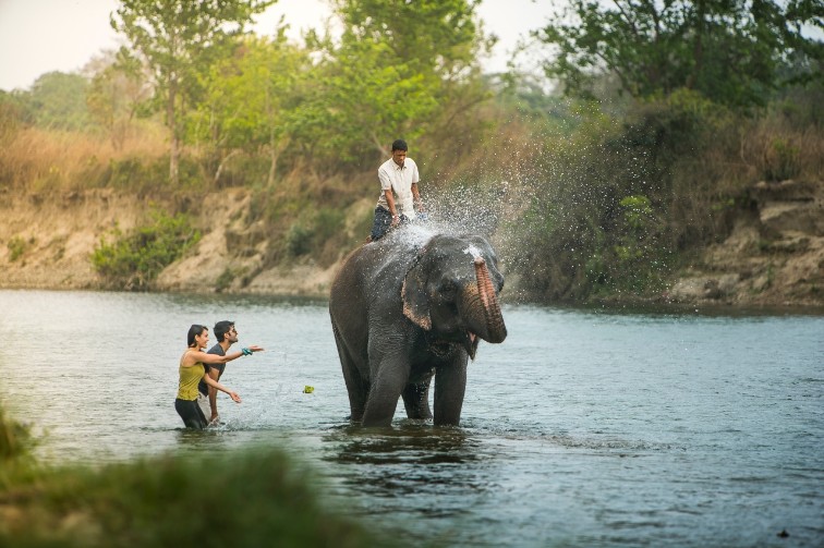 Elephant Safaris Chitwan National Park 3x2