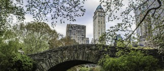 The Pierre, New York at A Taj Hotel