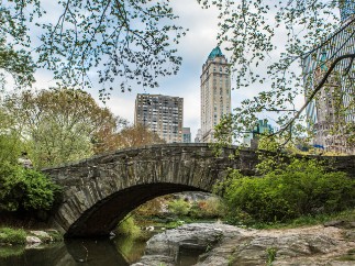 Explore Taj Pierre New York Explore Taj Pierre New York - 3