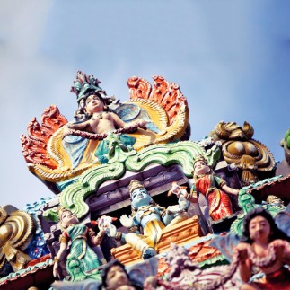 alternate text for image