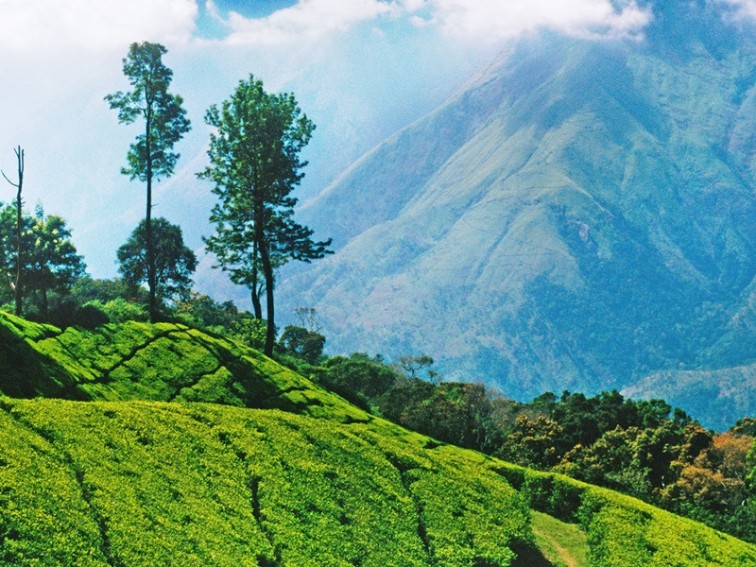 CR5KM3 Savoy, Ooty - Things to do in Ooty-144
