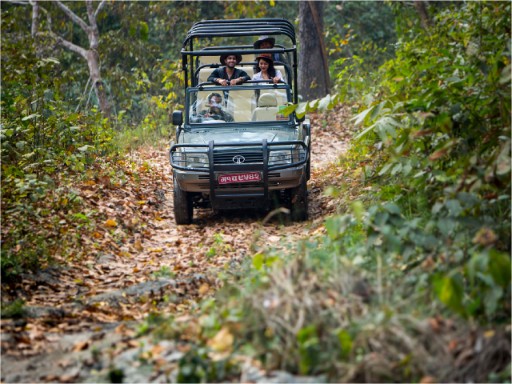 Chitwan National Park Safari with Vivanta Kathmandu